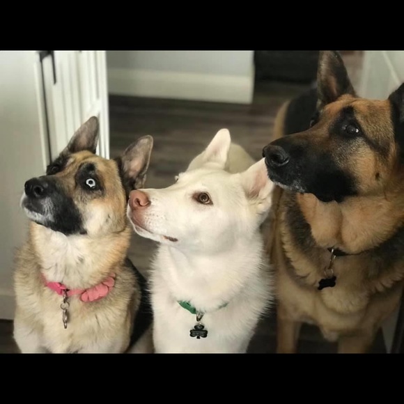 Hi there! I'm Dawn. - Picture 3 of 5